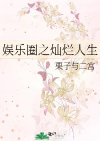 娛樂圈之燦爛人生